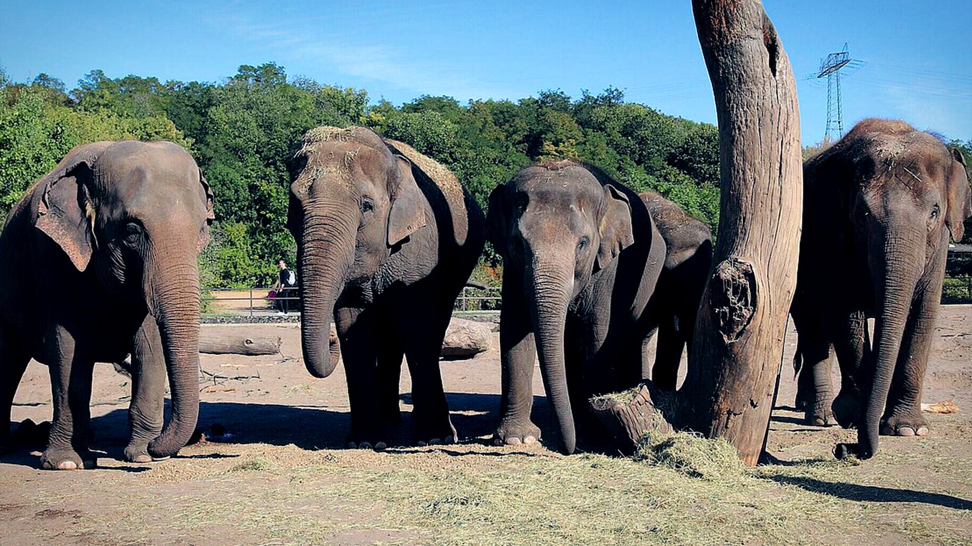 ZOO LEIPZIG, LEIPZIG